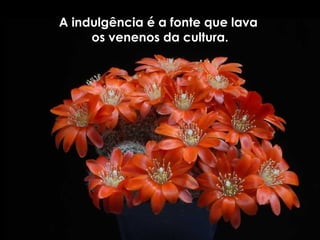 A indulgência é a fonte que lava  os venenos da cultura. 