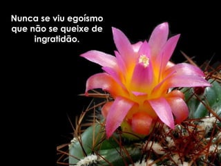Nunca se viu egoísmo que não se queixe de ingratidão. 