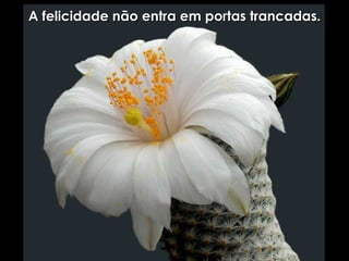 A felicidade não entra em portas trancadas . 