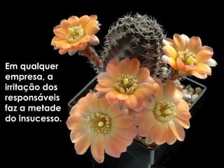 Em qualquer empresa, a irritação dos responsáveis faz a metade  do insucesso. 