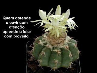 Quem aprende a ouvir com atenção aprende a falar com proveito. 