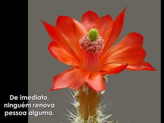 De imediato, ninguém renova pessoa alguma. 