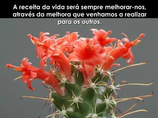 A receita da vida será sempre melhorar-nos, através da melhora que venhamos a realizar para os outros . 