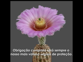 Obrigação cumprida será sempre o  nosso mais valioso seguro de proteção. 