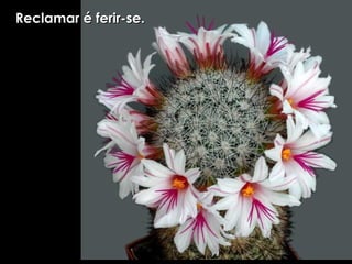 Reclamar é ferir-se. 