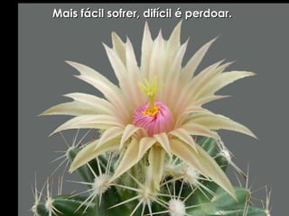 Mais fácil sofrer, difícil é perdoar. 