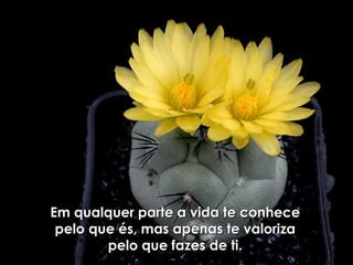 Em qualquer parte a vida te conhece pelo que és, mas apenas te valoriza pelo que fazes de ti. 