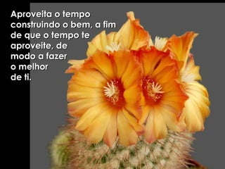 Aproveita o tempo construindo o bem, a fim de que o tempo te aproveite, de  modo a fazer  o melhor  de ti. 