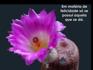 Em matéria de felicidade só se possui aquela que se dá. 