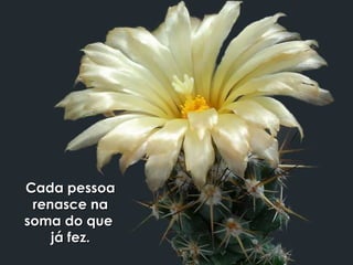 Cada pessoa renasce na soma do que  já fez. 