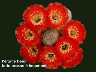 Perante Deus  toda pessoa é importante. 