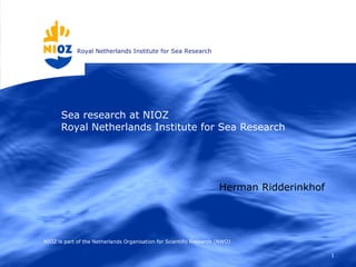 Sea research at NIOZ  Royal Netherlands Institute for Sea Research NIOZ is part of the Netherlands Organisation for Scientific Research (NWO) Herman Ridderinkhof 