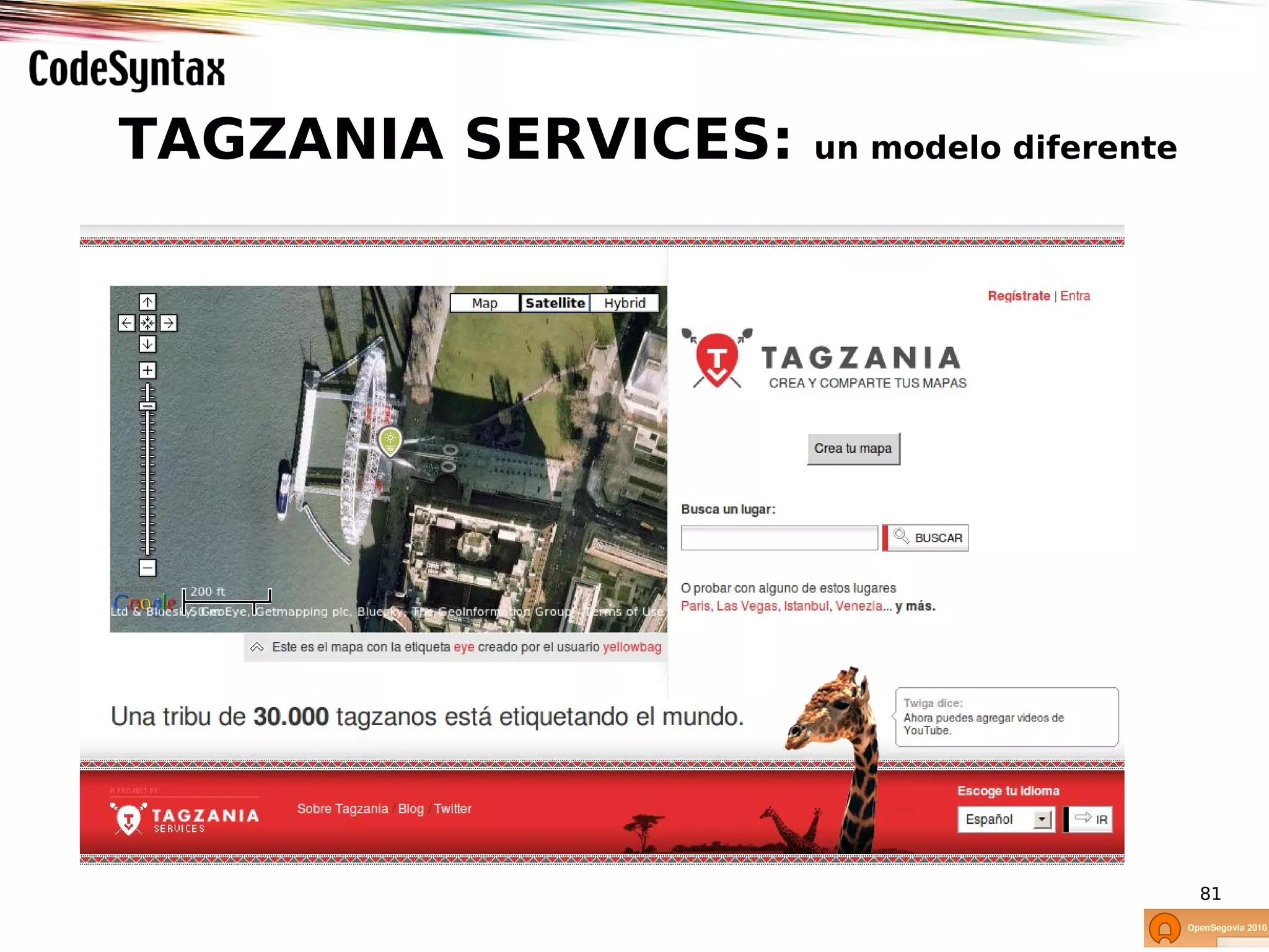 TAGZANIA SERVICES:   un modelo diferente




                                           81
 