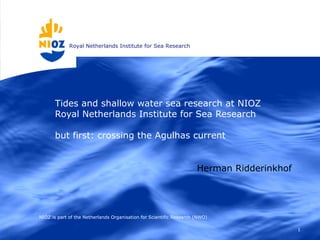 Royal Netherlands Institute for Sea Research
1
Tides and shallow water sea research at NIOZ
Royal Netherlands Institute for Sea Research
but first: crossing the Agulhas current
NIOZ is part of the Netherlands Organisation for Scientific Research (NWO)
Herman Ridderinkhof
 