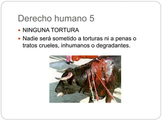 Derecho humano 5
 NINGUNA TORTURA
 Nadie será sometido a torturas ni a penas o
tratos crueles, inhumanos o degradantes.
 