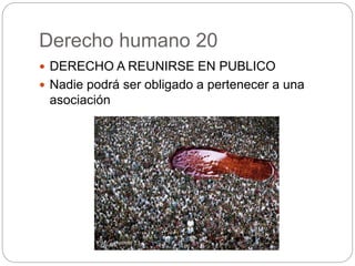 Derecho humano 20
 DERECHO A REUNIRSE EN PUBLICO
 Nadie podrá ser obligado a pertenecer a una
asociación
 