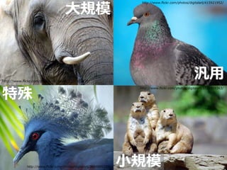 大規模
                                                                      http://www.flickr.com/photos/digitalart/415921952/




http://www.flickr.com/photos/digitalart/1351407421/
                                                                                                     汎用
特殊
                                                                     http://www.flickr.com/photos/digitalart/3721459363/




              http://www.flickr.com/photos/digitalart/3654905233/   小規模
 