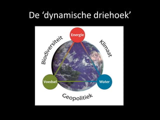 Verschillen in cijfers