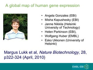 A global map of human gene expression Angela Gonzales (EBI) Misha Kapushesky (EBI) Janne Nikkila (Helsinki University of Technology)  Helen Parkinson (EBI),  Wolfgang Huber (EMBL) Esko Ukkonen (University of Helsinki) Margus   Lukk et al,  Nature Biotechnology , 28, p322-324 (April, 2010) 