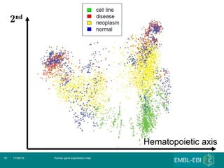 Human gene expression map 17/08/10 Hematopoietic axis 2 nd   