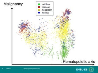 Human gene expression map 17/08/10 Hematopoietic axis Malignancy 