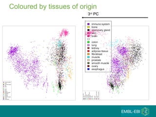 Coloured by tissues of origin 3 rd  PC 