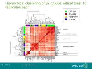 Hierarchical clustering of 97 groups with at least 10 replicates each Human gene expression map 17/08/10 