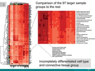 Comparison of the 97 larger sample groups to the rest Incompletely differentiated cell type and connective tissue group 