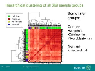 Hierarchical clustering of all 369 sample groups Human gene expression map 17/08/10 Some finer groups: Cancer: Sarcomas Carcinomas Neuroblastomas Normal: Liver and gut 