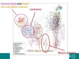 Leukemia Normal blood  and  blood non-neoplastic disease Other blood neoplasm Blood cell lines 