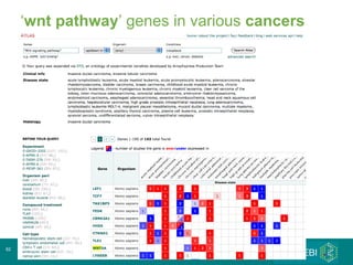 ‘ wnt pathway ’ genes in various  cancers ArrayExpress 