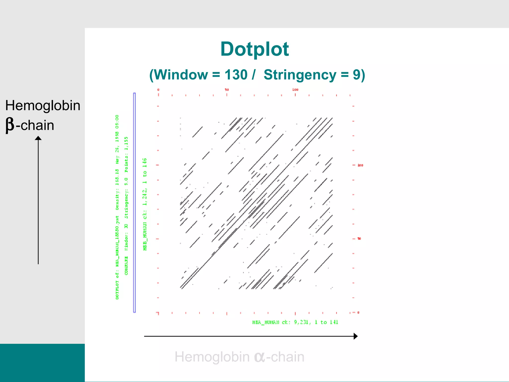 Hemoglobin   -chain Hemoglobin  -chain Dotplot   (Window = 130 /  Stringency = 9) 