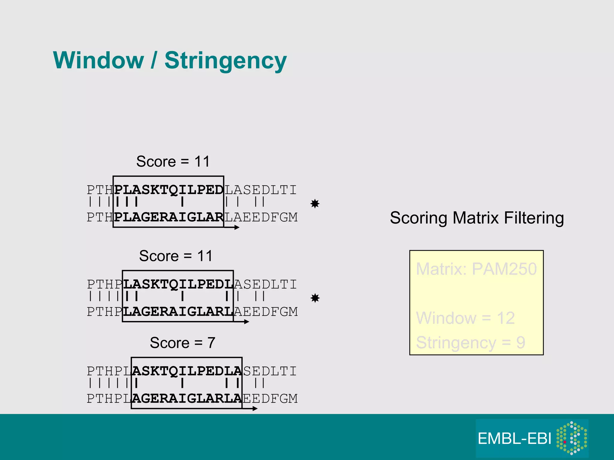 PTHPL ASKTQILPEDLA SEDLTI PTHPL AGERAIGLARLA EEDFGM Score = 7  PTH PLASKTQILPED LASEDLTI PTH PLAGERAIGLAR LAEEDFGM Score = 11  Matrix: PAM250 Window = 12  Stringency = 9 Scoring Matrix Filtering PTHP LASKTQILPEDL ASEDLTI PTHP LAGERAIGLARL AEEDFGM Score = 11  Window / Stringency 