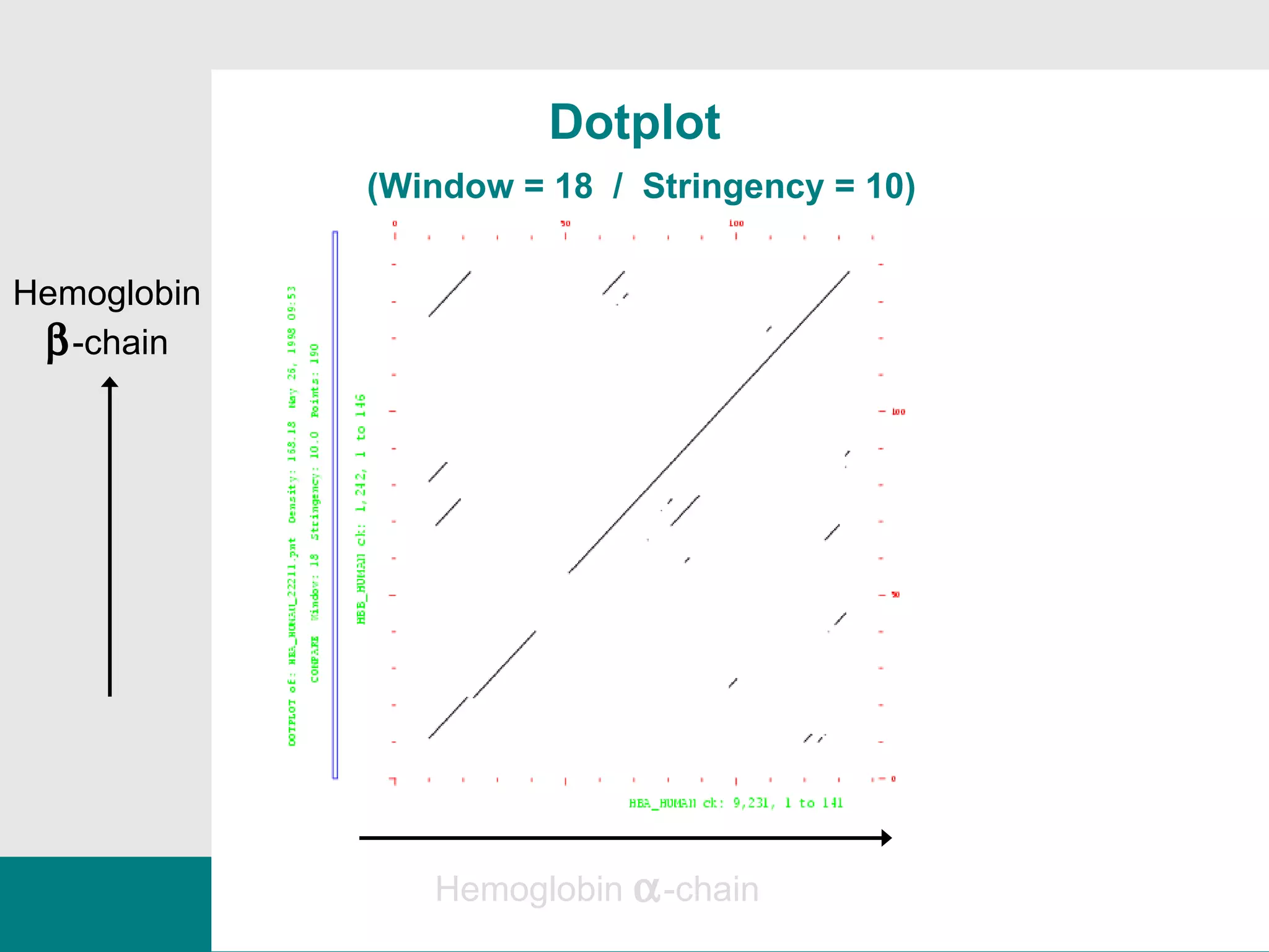 Dotplot   (Window = 18  /  Stringency = 10) Hemoglobin  -chain Hemoglobin   -chain 