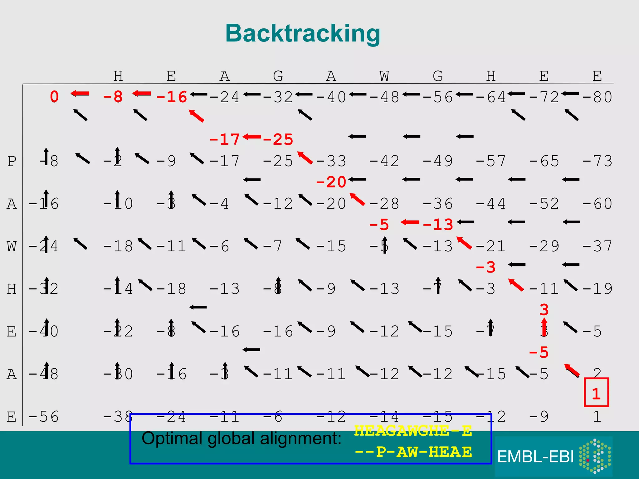 H  E  A  G  A  W  G  H  E  E  0  -8  -16  -24  -32  -40  -48  -56  -64  -72  -80  P  -8  -2  -9  -17  -25  -33  -42  -49  -57  -65  -73 A -16  -10  -3  -4  -12  -20  -28  -36  -44  -52  -60 W -24  -18  -11  -6  -7  -15  -5  -13  -21  -29  -37 H -32  -14  -18  -13  -8  -9  -13  -7  -3  -11  -19 E -40  -22  -8  -16  -16  -9  -12  -15  -7  3  -5 A -48  -30  -16  -3  -11  -11  -12  -12  -15  -5  2 E -56  -38  -24  -11  -6  -12  -14  -15  -12  -9  1 Backtracking -5 1 - A E E H H G - W W A A G - A P E - H - 0 -25 -5 -20 -13 -3 3 -8 -16 -17 Optimal global alignment: E E 