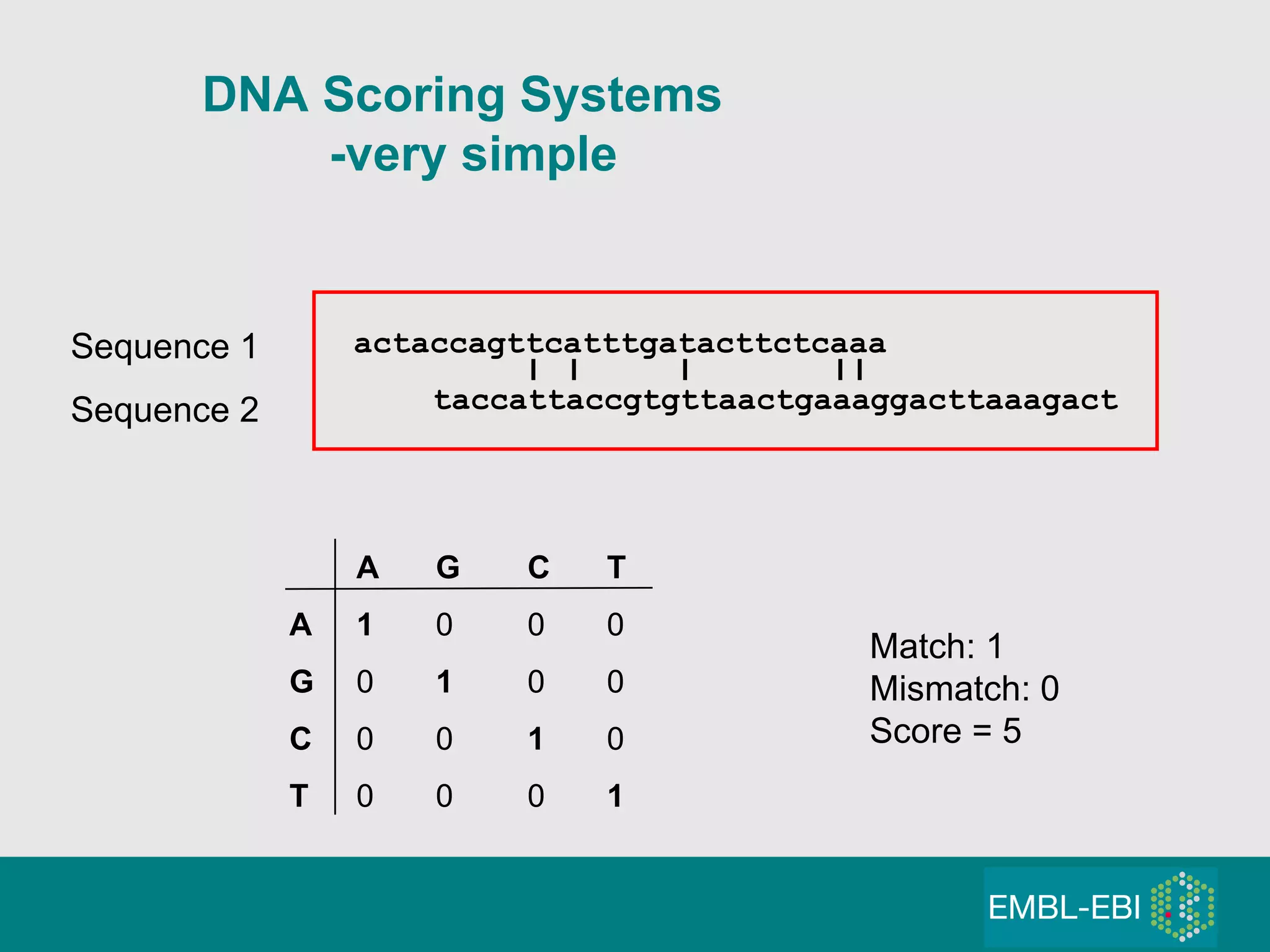 DNA Scoring Systems -very simple Sequence 1 Sequence 2 A G C T A 1 0 0 0 G 0 1 0 0 C 0 0 1 0 T 0 0 0 1 Match: 1 Mismatch: 0 Score = 5 actaccagttcatttgatacttctcaaa taccattaccgtgttaactgaaaggacttaaagact 