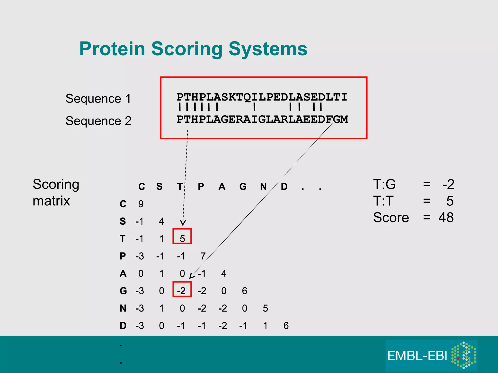 Protein Scoring Systems PTHPLASKTQILPEDLASEDLTI PTHPLAGERAIGLARLAEEDFGM Sequence 1 Sequence 2 Scoring matrix T:G =  -2  T:T  =  5 Score =  48   C S T P A G N D . . C  9 S -1  4 T -1  1  5 P -3 -1 -1  7 A  0  1  0 -1  4 G -3  0 -2 -2  0  6 N -3  1  0 -2 -2  0  5 D -3  0 -1 -1 -2 -1  1  6  . .   C S T P A G N D . . C  9 S -1  4 T -1  1  5 P -3 -1 -1  7 A  0  1  0 -1  4 G -3  0 -2 -2  0  6 N -3  1  0 -2 -2  0  5 D -3  0 -1 -1 -2 -1  1  6  . . 