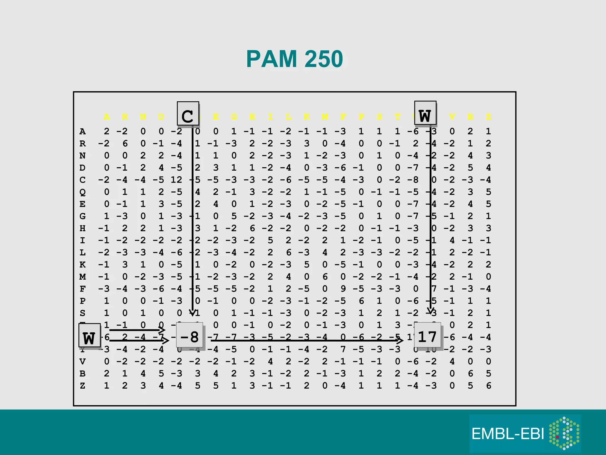 A  R  N  D  C  Q  E  G  H  I  L  K  M  F  P  S  T  W  Y  V  B  Z A  2 -2  0  0 -2  0  0  1 -1 -1 -2 -1 -1 -3  1  1  1 -6 -3  0  2  1  R  -2  6  0 -1 -4  1 -1 -3  2 -2 -3  3  0 -4  0  0 -1  2 -4 -2  1  2  N  0  0  2  2 -4  1  1  0  2 -2 -3  1 -2 -3  0  1  0 -4 -2 -2  4  3  D  0 -1  2  4 -5  2  3  1  1 -2 -4  0 -3 -6 -1  0  0 -7 -4 -2  5  4  C  -2 -4 -4 -5 12 -5 -5 -3 -3 -2 -6 -5 -5 -4 -3  0 -2 -8  0 -2 -3 -4  Q  0  1  1  2 -5  4  2 -1  3 -2 -2  1 -1 -5  0 -1 -1 -5 -4 -2  3  5  E  0 -1  1  3 -5  2  4  0  1 -2 -3  0 -2 -5 -1  0  0 -7 -4 -2  4  5  G  1 -3  0  1 -3 -1  0  5 -2 -3 -4 -2 -3 -5  0  1  0 -7 -5 -1  2  1  H  -1  2  2  1 -3  3  1 -2  6 -2 -2  0 -2 -2  0 -1 -1 -3  0 -2  3  3  I  -1 -2 -2 -2 -2 -2 -2 -3 -2  5  2 -2  2  1 -2 -1  0 -5 -1  4 -1 -1  L  -2 -3 -3 -4 -6 -2 -3 -4 -2  2  6 -3  4  2 -3 -3 -2 -2 -1  2 -2 -1  K  -1  3  1  0 -5  1  0 -2  0 -2 -3  5  0 -5 -1  0  0 -3 -4 -2  2  2  M  -1  0 -2 -3 -5 -1 -2 -3 -2  2  4  0  6  0 -2 -2 -1 -4 -2  2 -1  0  F  -3 -4 -3 -6 -4 -5 -5 -5 -2  1  2 -5  0  9 -5 -3 -3  0  7 -1 -3 -4  P  1  0  0 -1 -3  0 -1  0  0 -2 -3 -1 -2 -5  6  1  0 -6 -5 -1  1  1  S  1  0  1  0  0 -1  0  1 -1 -1 -3  0 -2 -3  1  2  1 -2 -3 -1  2  1  T  1 -1  0  0 -2 -1  0  0 -1  0 -2  0 -1 -3  0  1  3 -5 -3  0  2  1  W  -6  2 -4 -7 -8 -5 -7 -7 -3 -5 -2 -3 -4  0 -6 -2 -5 17  0 -6 -4 -4  Y  -3 -4 -2 -4  0 -4 -4 -5  0 -1 -1 -4 -2  7 -5 -3 -3  0 10 -2 -2 -3  V  0 -2 -2 -2 -2 -2 -2 -1 -2  4  2 -2  2 -1 -1 -1  0 -6 -2  4  0  0  B  2  1  4  5 -3  3  4  2  3 -1 -2  2 -1 -3  1  2  2 -4 -2  0  6  5  Z  1  2  3  4 -4  5  5  1  3 -1 -1  2  0 -4  1  1  1 -4 -3  0  5  6   PAM 250 C -8 17 W W 