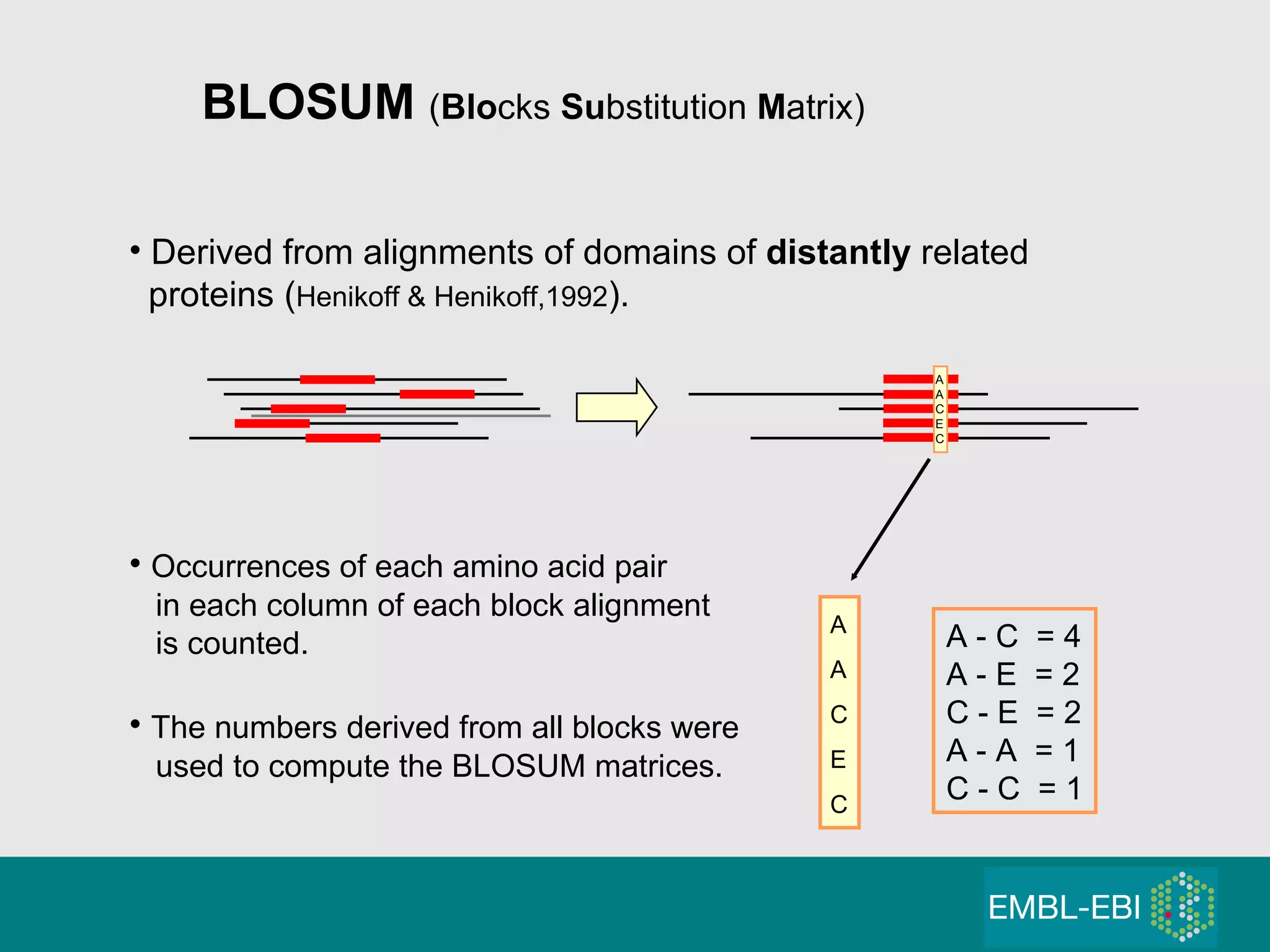 Derived from alignments of domains of  distantly  related proteins ( Henikoff & Henikoff,1992 ). Occurrences of each amino acid pair in each column of each block alignment is counted. The numbers derived from all blocks were  used to compute the BLOSUM matrices. A A C E C A - C  = 4 A - E  = 2 C - E  = 2 A - A  = 1 C - C  = 1 BLOSUM  ( Blo cks  Su bstitution  M atrix) A A C E C 