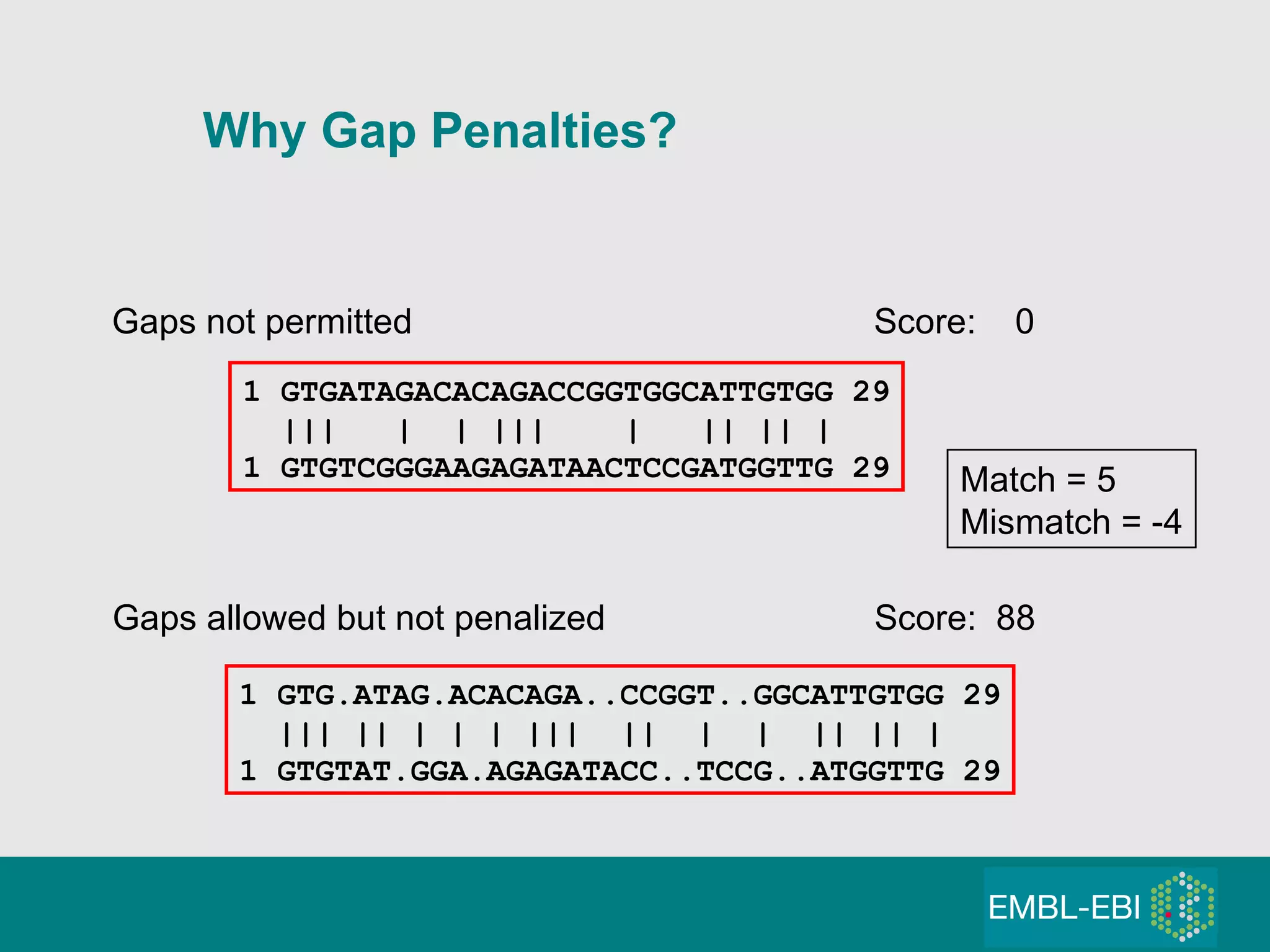 1 GTGATAGACACAGACCGGTGGCATTGTGG 29 |||  |  | |||  |  || || | 1 GTGTCGGGAAGAGATAACTCCGATGGTTG 29 Why Gap Penalties?   Gaps allowed but not penalized   Score:  88  Gaps not permitted  Score:  0 1 GTG.ATAG.ACACAGA..CCGGT..GGCATTGTGG 29 ||| || | | | |||  ||  |  |  || || | 1 GTGTAT.GGA.AGAGATACC..TCCG..ATGGTTG 29 Match = 5 Mismatch = -4 
