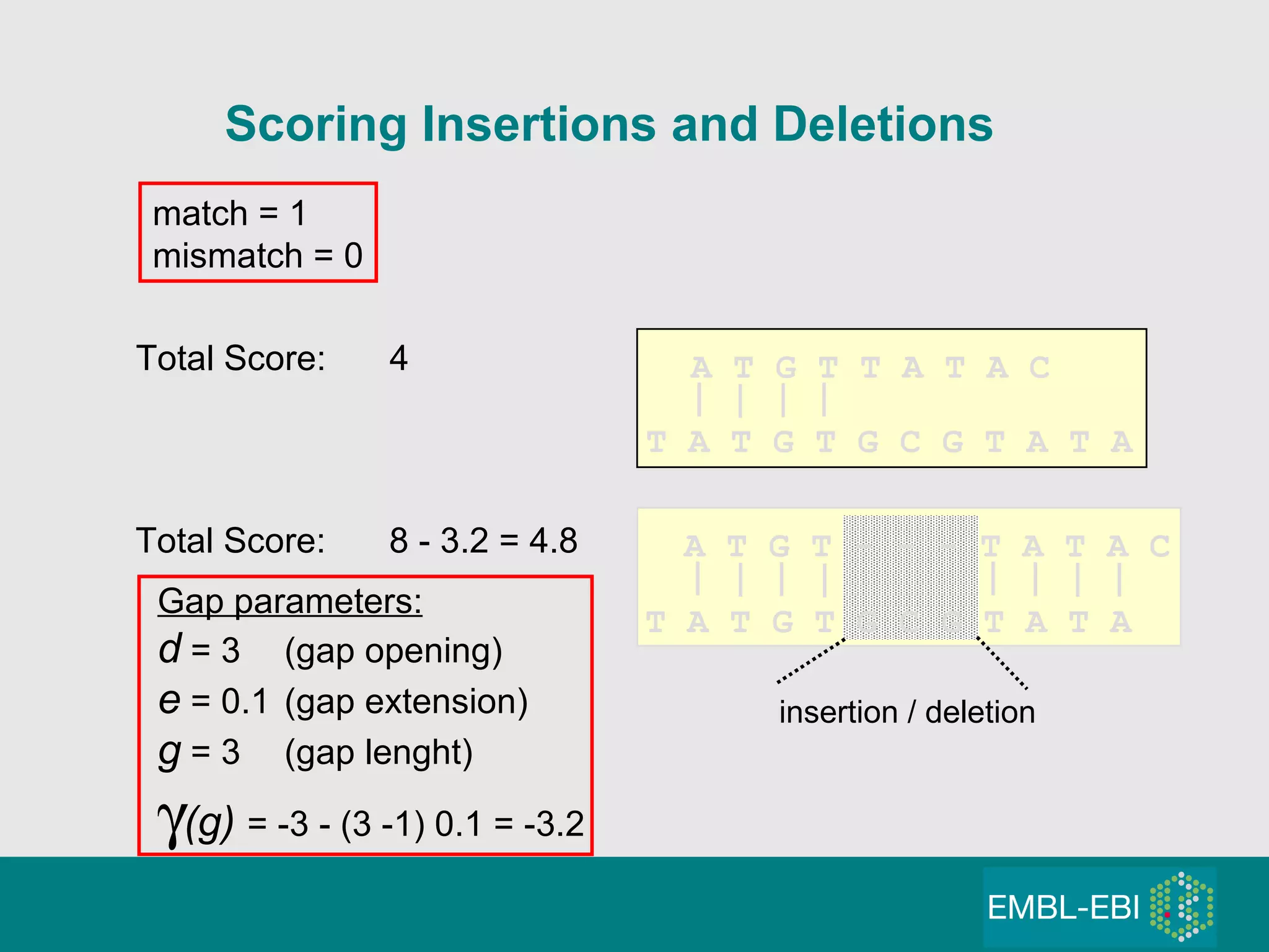 Scoring Insertions and Deletions A T G T T A T A C T A T G T G C G T A T A   Total Score:  4 Gap parameters: d  = 3 (gap opening) e  = 0.1 (gap extension) g  = 3 (gap lenght)  (g)  = -3 - (3 -1) 0.1 = -3.2   T A T G T G C G T A T A  A T G T - - - T A T A C insertion / deletion match = 1 mismatch = 0 Total Score: 8 - 3.2 = 4.8 