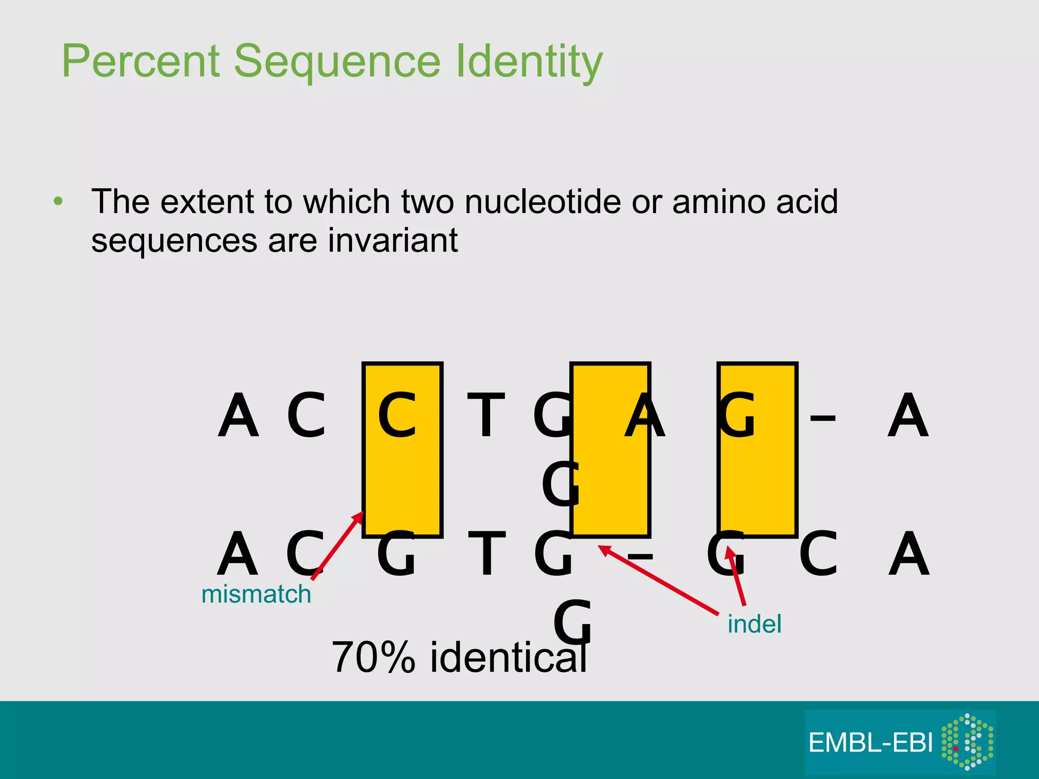 Percent Sequence Identity The extent to which two nucleotide or amino acid sequences are invariant A C  C  T G  A  G  –  A G  A C  G  T G  –  G  C  A G 70% identical mismatch indel 