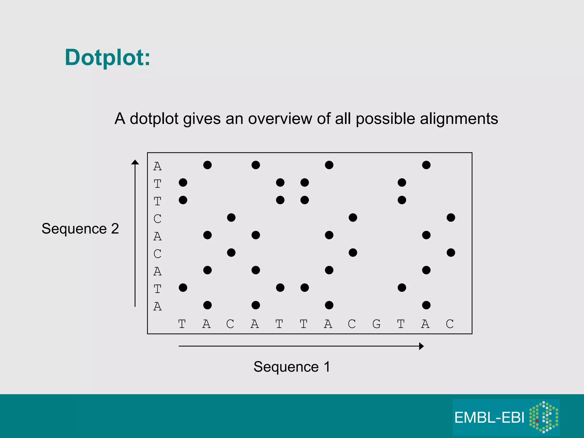 Dotplot: A              T         T         C            A             C        A             T         A             T A C A T T A C G T A C Sequence 1 Sequence 2 A dotplot gives an overview of all possible alignments 