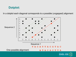 Dotplot: A              T         T         C            A             C        A             T         A             T A C A T T A C G T A C T A C A T T A C G T A C A T A C A C T T A Sequence 1 Sequence 2 One possible alignment: In a dotplot each diagonal corresponds to a possible (ungapped) alignment 