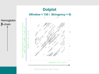 Hemoglobin   -chain Hemoglobin  -chain Dotplot   (Window = 130 /  Stringency = 9) 