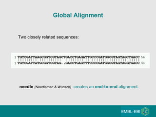 needle  (Needleman & Wunsch)   creates an  end-to-end  alignment. Global Alignment Two closely related sequences: 