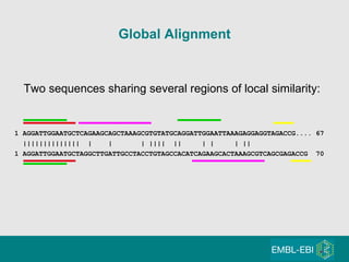 Two sequences sharing several regions of local similarity: 1 AGGATTGGAATGCTCAGAAGCAGCTAAAGCGTGTATGCAGGATTGGAATTAAAGAGGAGGTAGACCG.... 67 1 AGGATTGGAATGCTAGGCTTGATTGCCTACCTGTAGCCACATCAGAAGCACTAAAGCGTCAGCGAGACCG  70 ||||||||||||||  |  |  | ||||  ||  | |  | ||   Global Alignment 