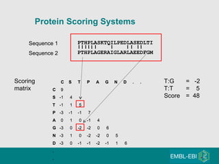 Protein Scoring Systems PTHPLASKTQILPEDLASEDLTI PTHPLAGERAIGLARLAEEDFGM Sequence 1 Sequence 2 Scoring matrix T:G =  -2  T:T  =  5 Score =  48   C S T P A G N D . . C  9 S -1  4 T -1  1  5 P -3 -1 -1  7 A  0  1  0 -1  4 G -3  0 -2 -2  0  6 N -3  1  0 -2 -2  0  5 D -3  0 -1 -1 -2 -1  1  6  . .   C S T P A G N D . . C  9 S -1  4 T -1  1  5 P -3 -1 -1  7 A  0  1  0 -1  4 G -3  0 -2 -2  0  6 N -3  1  0 -2 -2  0  5 D -3  0 -1 -1 -2 -1  1  6  . . 