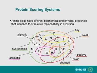 Amino acids have different biochemical and physical properties that influence their relative replaceability in evolution. C P G G A V I L M F Y W H K R E Q D N S T C SH S+S positive charged polar aliphatic aromatic small tiny hydrophobic Protein Scoring Systems 