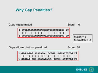 1 GTGATAGACACAGACCGGTGGCATTGTGG 29 |||  |  | |||  |  || || | 1 GTGTCGGGAAGAGATAACTCCGATGGTTG 29 Why Gap Penalties?   Gaps allowed but not penalized   Score:  88  Gaps not permitted  Score:  0 1 GTG.ATAG.ACACAGA..CCGGT..GGCATTGTGG 29 ||| || | | | |||  ||  |  |  || || | 1 GTGTAT.GGA.AGAGATACC..TCCG..ATGGTTG 29 Match = 5 Mismatch = -4 